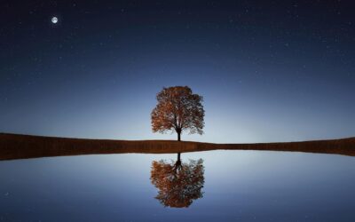 September Newsletter